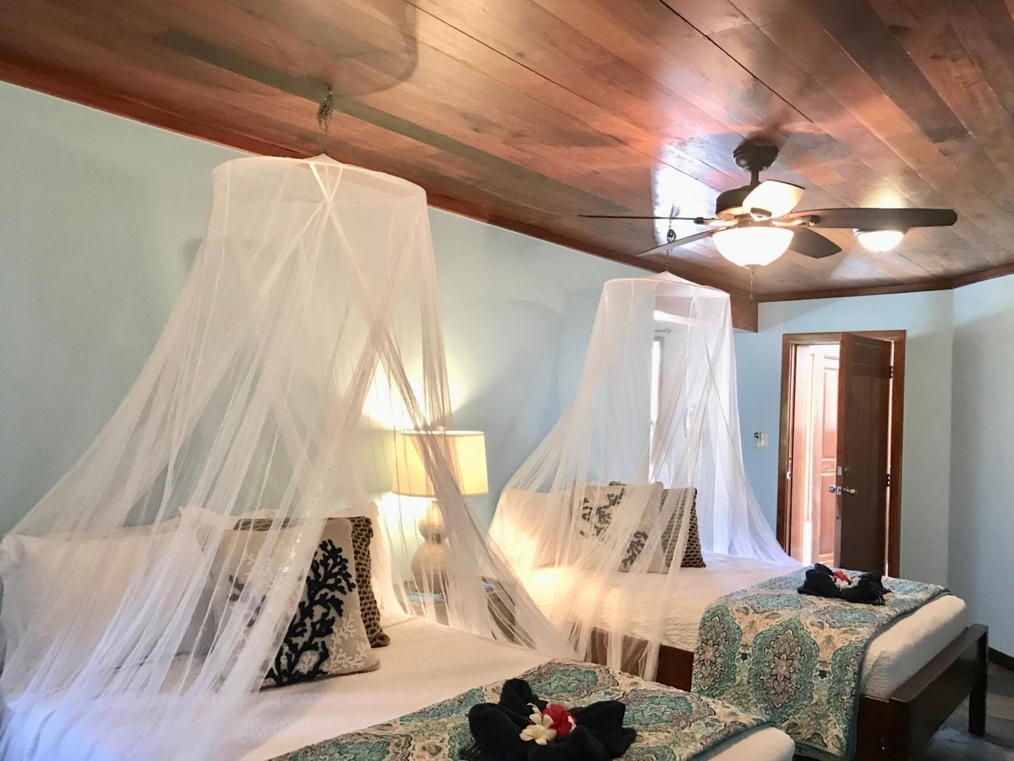 Villa Serenity サン・ペドロ 部屋 写真